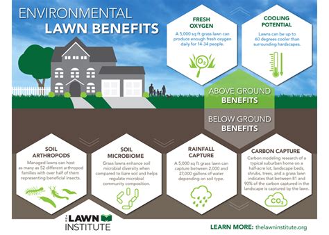 Lawn Care Benefits