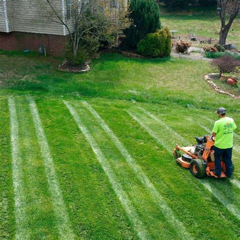 Lawn Care Design