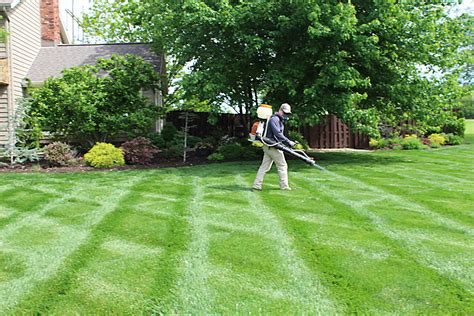 Lawn Care Services