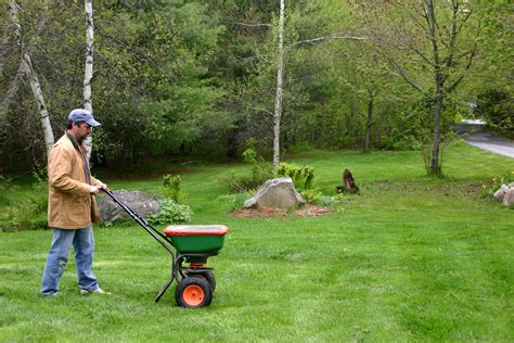 Lawn Fertilization Tips