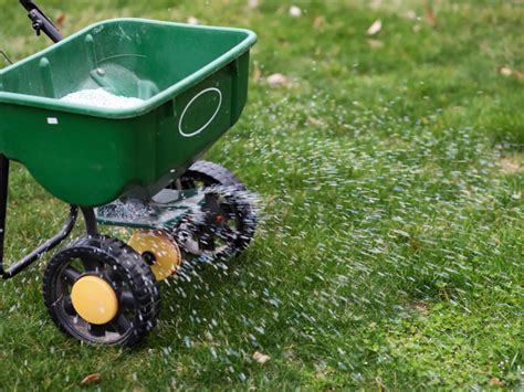 Lawn Fertilization Tips