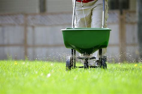 Lawn Fertilization