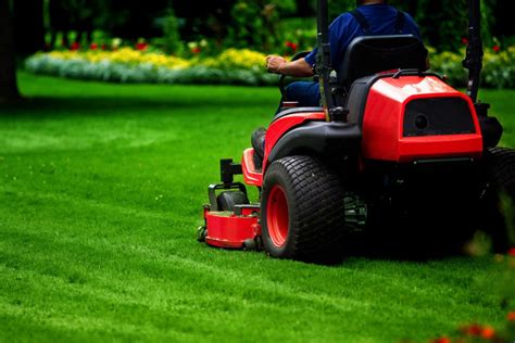 A contractor explaining lawn maintenance services to a client