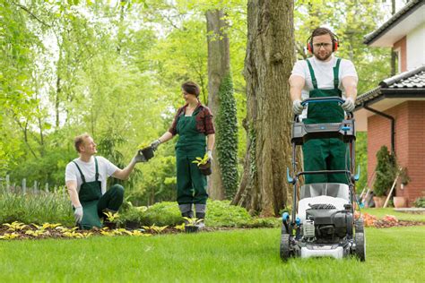 Lawn maintenance services in action