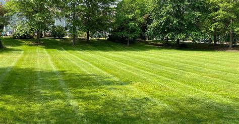 Benefits of a Lawn Mowing Schedule