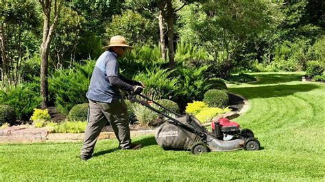 Lawn Mowing Services