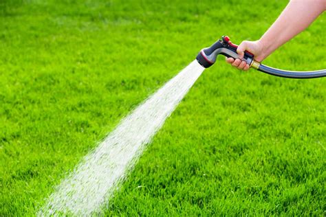 Lawn Watering Tips