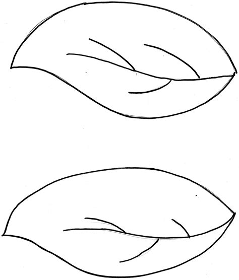 Leaf Clipart Template 6