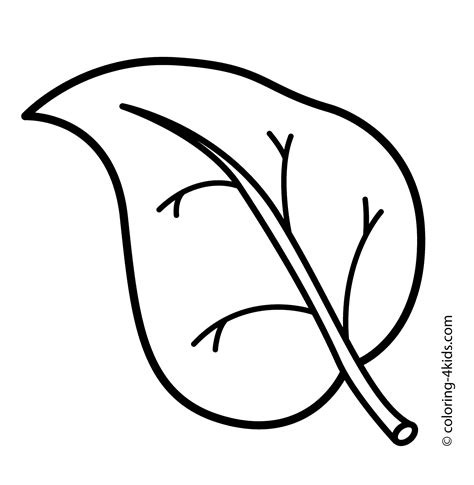 Leaf Coloring Pages for Kids