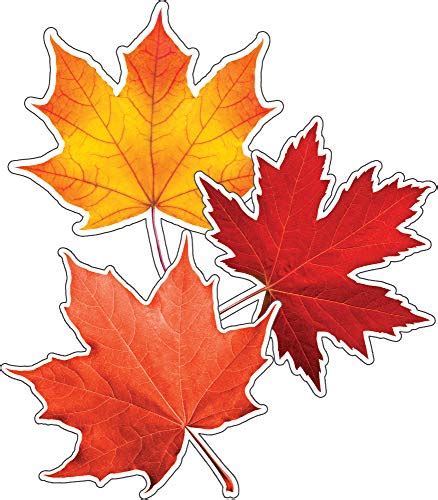 Leaf Cutouts Education Template