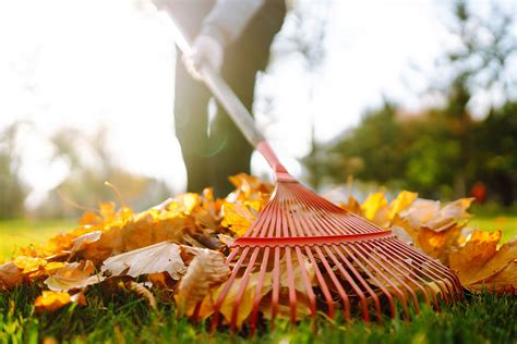 A close-up of a leaf raking flyer template with a prominent call-to-action