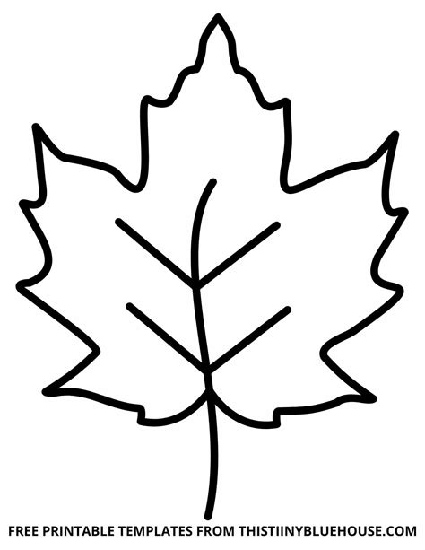 A large oak leaf template