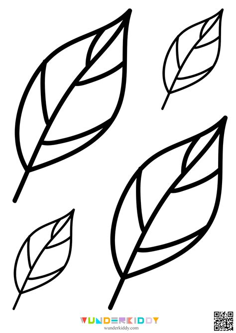 A large walnut leaf template