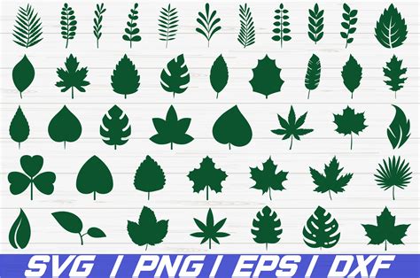 Leaf Template Design