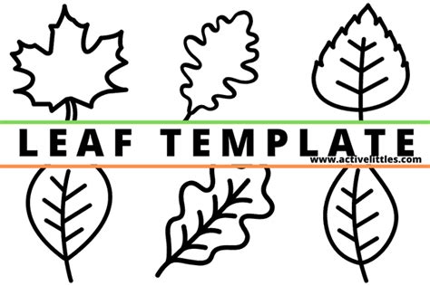 Leaf Template Education