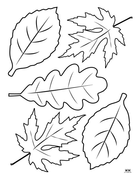 Leaf Template for Coloring