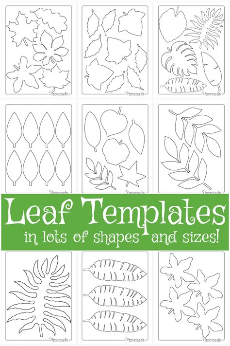 Leaf Template for Crafting