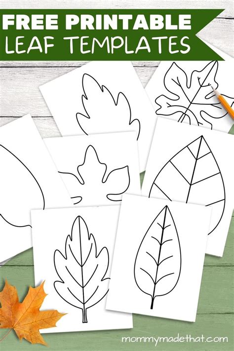 Leaf Template for Educational Activities