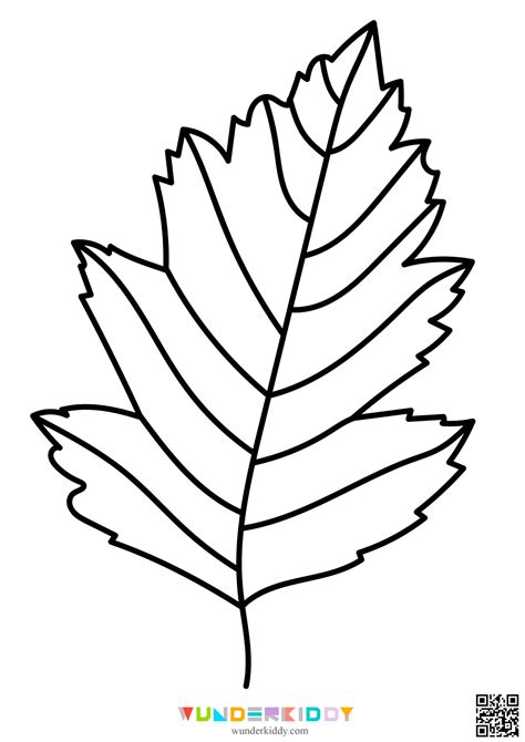 Leaf Template for Kids