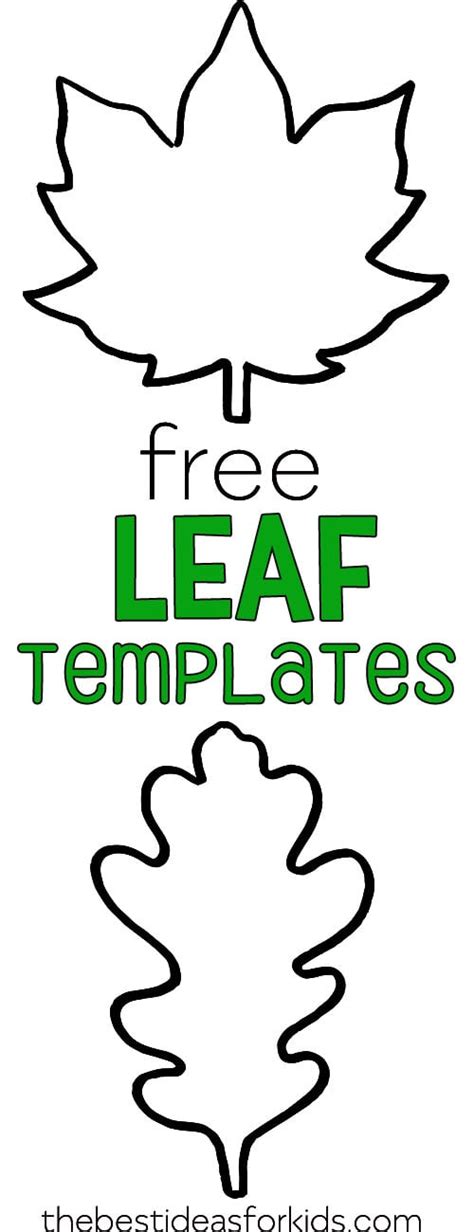 Leaf Template Ideas