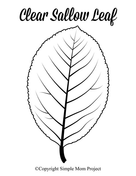 Leaf Template Tips