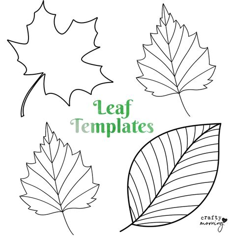 Printable Leaf Templates