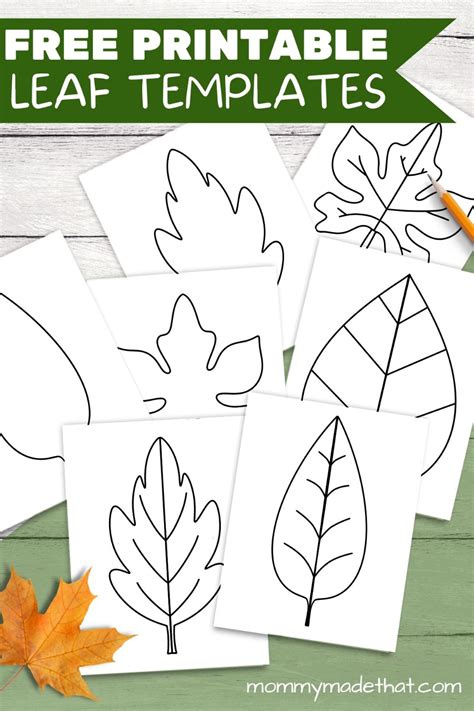 Leaf Templates for Card Making