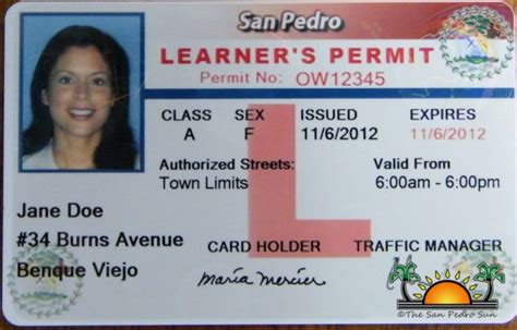 Learner's Permit