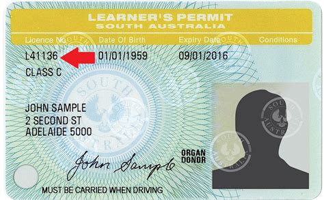 Learner's Permit