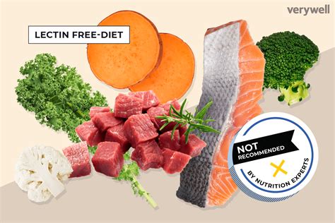 Image of Lectin-Free Diet Benefits