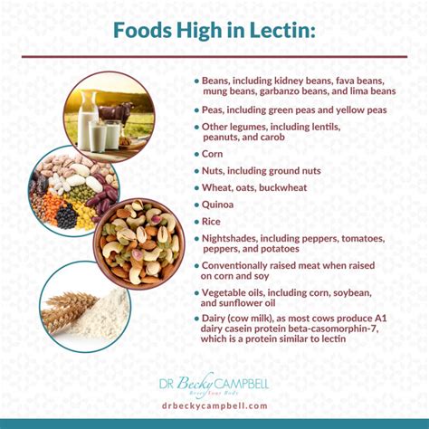 Lectin Reduction