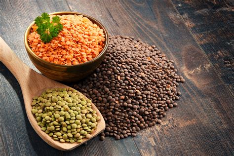 Lentils as a protein source