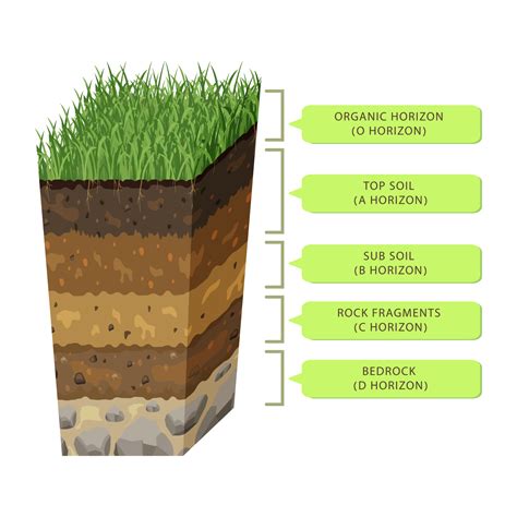 Levels of Soiling and Their Cleaning Costs