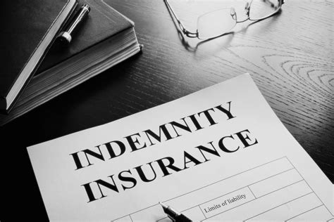 Liability and Indemnification Example