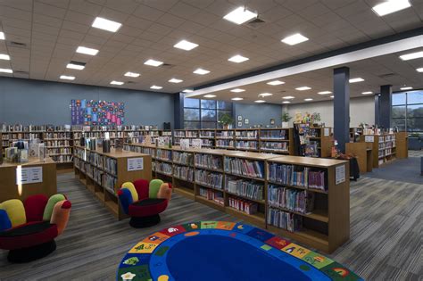 A person visiting a library