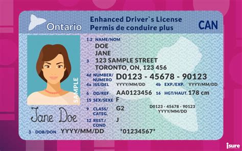 License Reactivation in Ontario