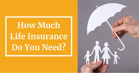 Understanding Life Insurance Needs