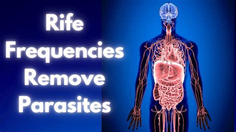 Lifestyle changes for parasite removal