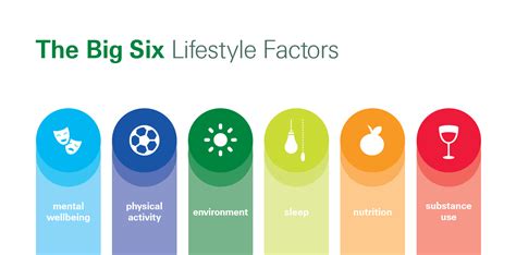 Description of Lifestyle Factors