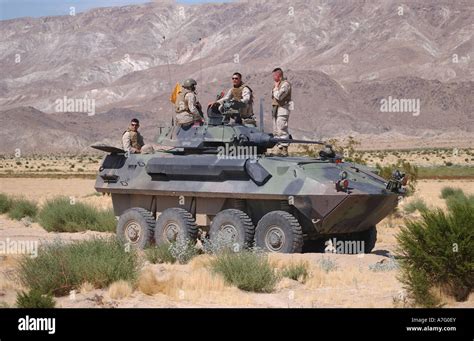 Light Armored Vehicle Crewman in action