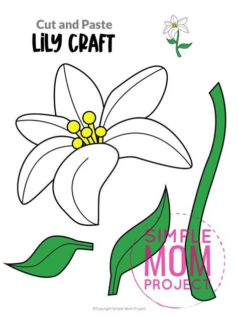 Lily flower template