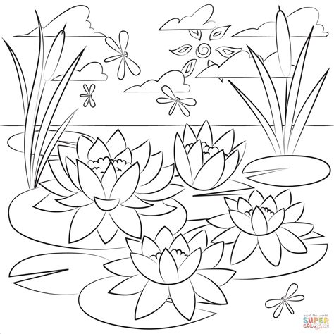 Lily Pad Coloring Page