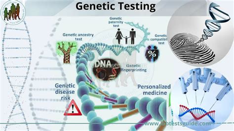 Limitations of Genetic Methyl Testing