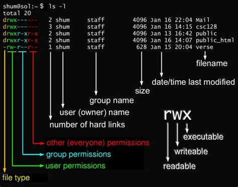 Linux Chain Command Example 4