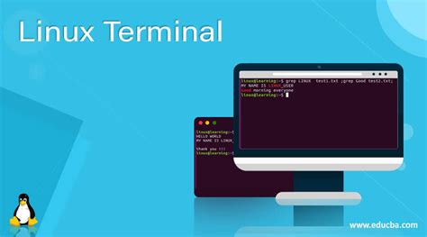 Linux terminal