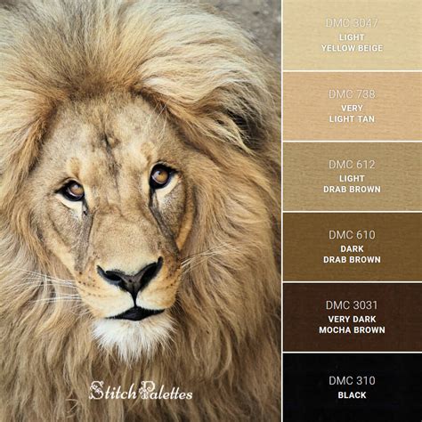 Lion Coat Color Variations