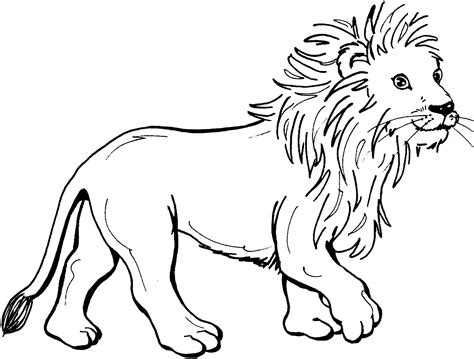 Free Printable Lion Coloring Pages for Kids and Adults