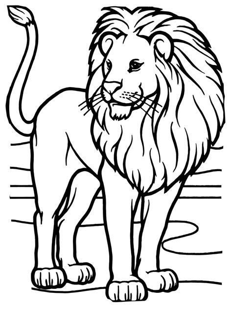 Lion coloring pages for kids and adults