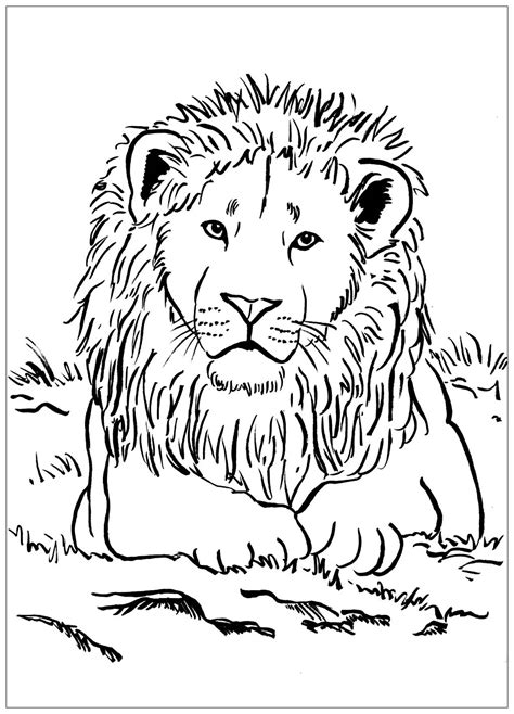 Free Printable Lion Coloring Page 1