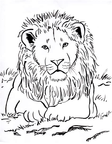 Tips for Coloring Free Printable Lion Coloring Pages